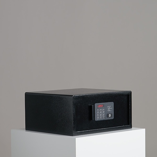 Hotelsafe D25